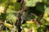 291186 – Photo : Jacques H – France (24)